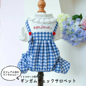  ybgEGA hbOEFA MK`FbN I[o[I[ Xibv{^ E₷ gR[ j̎q ̎q pEFA 킢 R   ^