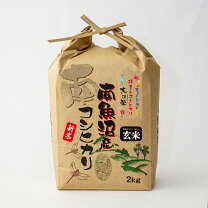 楽天市場】無農薬 天日干し 玄米 魚沼産コシヒカリの通販 