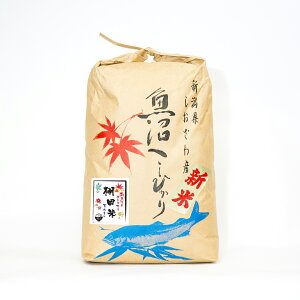 VāyIc V炿z싛YRVqJ@5kg@ߘa7NY@̌с^RɐUJW߂YȐō͔|󏭕ā^VY싛YRVqJ퐼Rn̂ā^