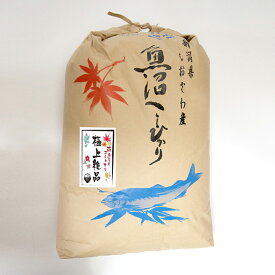 【極上絶品】南魚沼産コシヒカリ白米30kg（クラフト袋）　特A地区の贅沢な栽培で手間の掛かる中山間地米／新潟県産 南魚沼産コシヒカリ 旧しおざわ西山地区のお米／送料無料