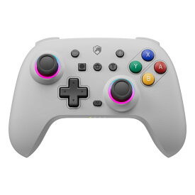 ECHTPower Switch コントローラー ワイヤレス ホール効果スティック RGBライト 背面ボタン付き スイッチ コントローラー TURBO連射 4段階振動調整 6軸ジャイロセンサー 800mAhバッテリー Switch/Switch2/PC/Android/IOSに対応