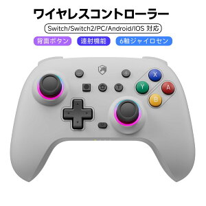 ECHTPower Switch �R���g���[���[ ���C�����X �z�[�����ʃX�e�B�b�N RGB���C�g �w�ʃ{�^���t�� �X�C�b�` �R���g���[���[ TURBO�A�� 4�i�K�U������ 6���W���C���Z���T�[ 800mAh�o�b�e���[ Switch/Switch2/PC