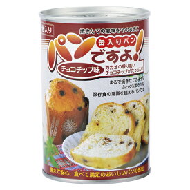 名古屋ライトハウス パンですよ!5年保存 チョコチップ味(2051)　100g