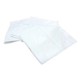 三和紙工 使い捨てバスタオル　フキーナー 10P 1袋(10枚入)