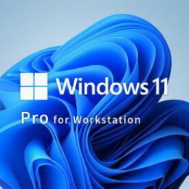 MICROSOFT マイクロソフト Win 11 Pro for Wrkstns 64Bit Japanese 1pk DSP OEI DVD(HZV-00112)