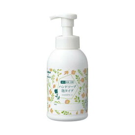 カール オリジナルハンドソープ 泡タイプ シトラスグリーン 本体 500ml