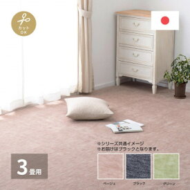 HAGIHARA 萩原 ペットにやさしい平織カーペット ラウム 江戸間3帖 ブラック 約176×261cm 600017630 (1755281)