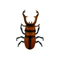楽天市場】ノコギリクワガタ（プラモデル・模型｜ホビー）の通販
