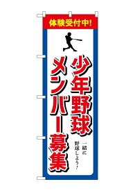 のぼり屋(Noboriya) ☆G_のぼり GNB-3364 少年野球メンバー募集 (GNB-3364)