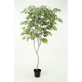 アスカ(Asca) ファイカスツリー(ポット付)【造花観葉樹】 (A-50881-051A)