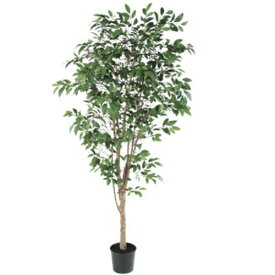 アスカ(Asca) ファイカスツリー(ポット付)【造花観葉樹】 (A-50774051A)