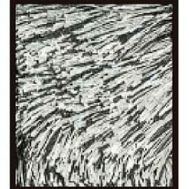 スミノエ(Suminoe) NGL10/200X200 ラグ ネオグラス(200×200cm/ブラック)【日本製】