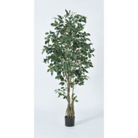 アスカ(Asca) ファイカスツリー(ポット付)【造花観葉樹】 (A-50940 051A)