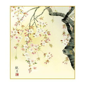 COMOLIFE コモライフ 色紙 森山観月 桜花爛漫 24.2×27.2cm K5-010 (2167341)
