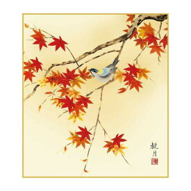 COMOLIFE コモライフ 色紙 森山観月 紅葉に小鳥 24.2×27.2cm K5-012 (2167343)