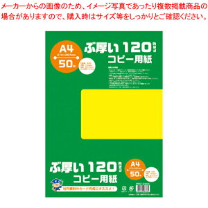 Ԍ120gsmRs[pA4 PPC120A4 1yECJz