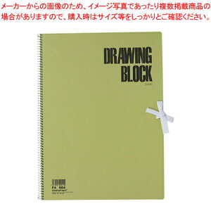 �I���[�u�V���[�Y �X�P�b�`�u�b�N F4 S84 1���yECJ�z