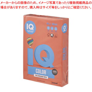 バイオトップカラー A4判 500枚 BT519 ブリックレット 1冊【ECJ】