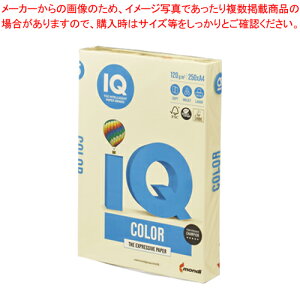 oCIgbvJ[ A4 250 BT703 CG[ 1yECJz