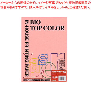 oCIgbvJ[ A4 50 BT304 sN 1yECJz