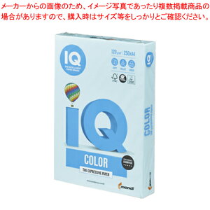 oCIgbvJ[ A4 250 BT708 Mu[ 1yECJz