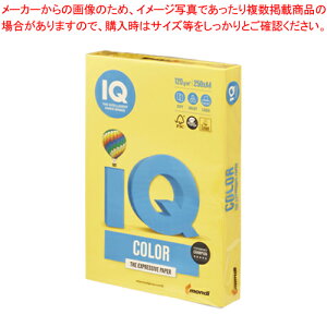 oCIgbvJ[ A4 250 BT729 }X^[h 1yECJz