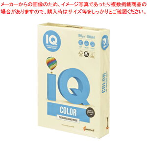 oCIgbvJ[ A4 250 BT803 CG[ 1yECJz