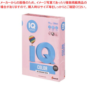 oCIgbvJ[ A4 250 BT804 sN 1yECJz