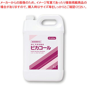 pwŉt sJR[ 5L DD-5000 1{yECJz