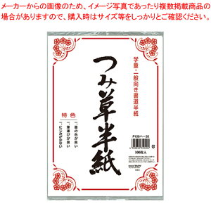 �ݑ����� 100���|���� P100�n-35 1�܁yECJ�z