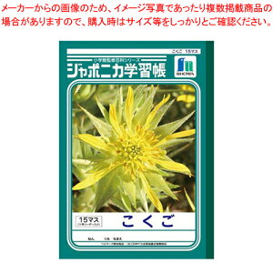 【まとめ買い10個セット品】ジャポニカ こくご15マス+字リーダー JL-10 1冊【ECJ】