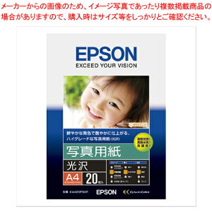 【まとめ買い10個セット品】写真用紙(光沢) (A4/20枚) KA420PSKR 1冊【ECJ】