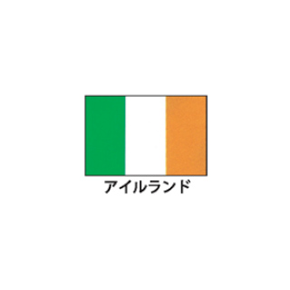 旗(世界の国旗) エクスラン国旗 アイルランド 取り寄せ商品