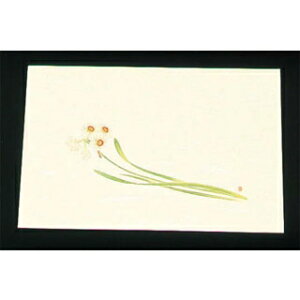 y܂Ƃߔ10Zbgiz ڎO ΂܂ N[(100)WSS-17 (12`1)yECJz