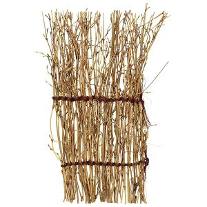 �������� 11.5×23cm 21926�yECJ�z