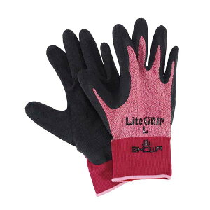 y܂Ƃߔ10ZbgizV[ CgObv No.341 S bhyECJz