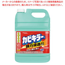 カビキラー 詰替え 業務用 5L 【ECJ】