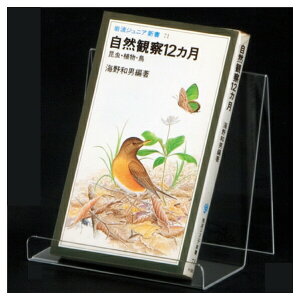 X^h 5 61-555-44-2yoEfBXvCpi ANZT[fBXvC KXEAN X^hzyECJz