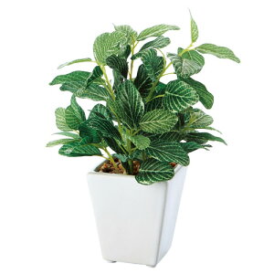 ~jO[|bg tBbgjA 61-174-9-1yoEfBXvCpi Xpi tFCNO[ilH؁j ~jO[|bg tFCNO[/lH؁zX܏Y fBXv[ 