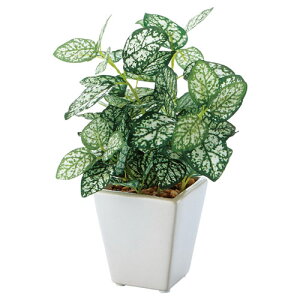 ~jO[|bg yy~A 61-174-9-2yoEfBXvCpi Xpi tFCNO[ilH؁j ~jO[|bg tFCNO[/lH؁zX܏Y fBXv[ }