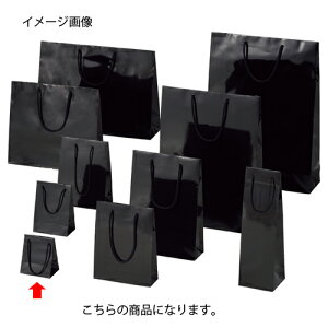 y܂Ƃߔ10ZbgizuCgobO ubN 10×7×12 50 61-314-2-14y bsOpi bsOV[Y o^CEC[X^[Ew uCgobO ubNVW}  