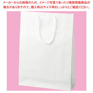 J[񂰎 Xm[zCg 33×10×45 100 61-549-37-6yNtg/tzyECJz