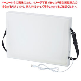 首掛け式 LED看板 A3 LED看板 61-780-94-1【ECJ】