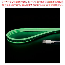 【まとめ買い10個セット品】LEDネオンチューブライト 2mグリーン【ECJ】