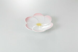 y܂Ƃߔ10ZbgizaH sN Ԍ^M 37K181-05 ܂37W yLZ/ԕiszyECJz