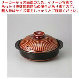 �a�H�� �e�ԃA�� 6���� 37V446-08 �܂������37�W �y�L�����Z��/�ԕi�s�z�yECJ�z