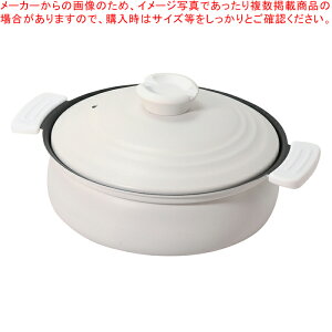 yʂӂfHIHΉy畗20cm(zCg)yECJz