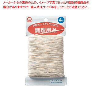 SA p(100m) 4y ֘Ai  ֘Ai ƖpzyECJz