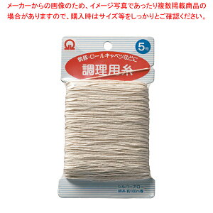 SA p(100m) 5y ֘Ai  ֘Ai ƖpzyECJz