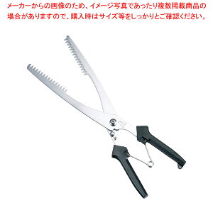 Ɩpu͂v͂ SK-4049y~[pi     ~[pi     ƖpzyECJz